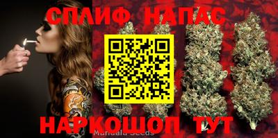 марки nbome Кингисепп