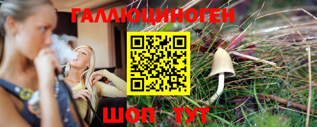 Энгельс  Галлюциногенные грибы MAGIC MUSHROOMS  Вход с VPN 